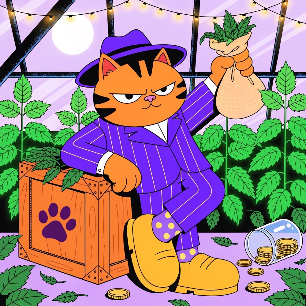 The boss cat inside a moonlit rooftop greenhouse full of catnip plants